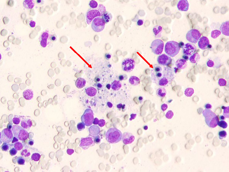 Figure 2