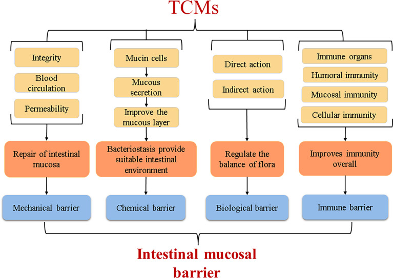 Figure 4