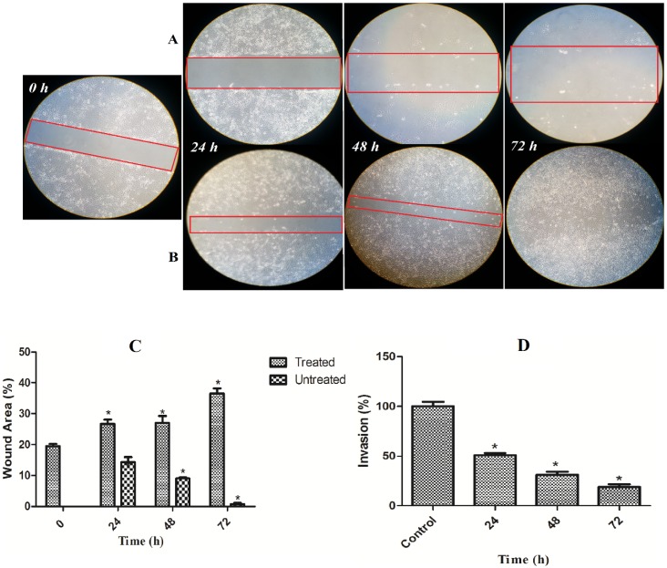 Figure 14