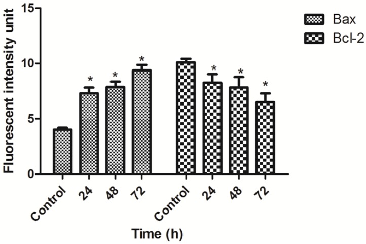 Figure 13