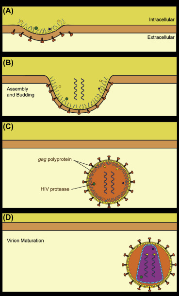 Figure 4.17