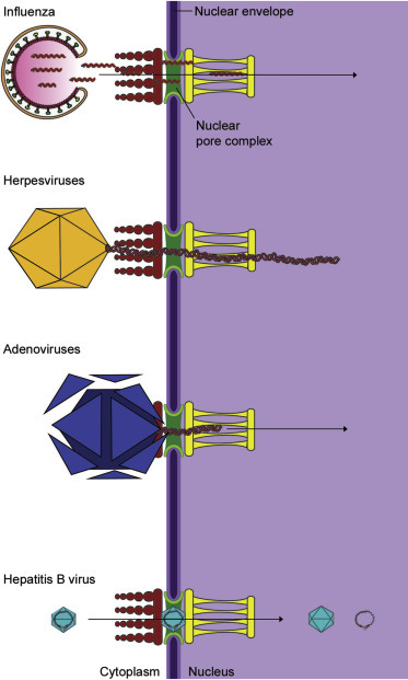 Figure 4.6