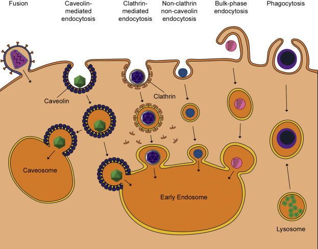 Figure 4.4