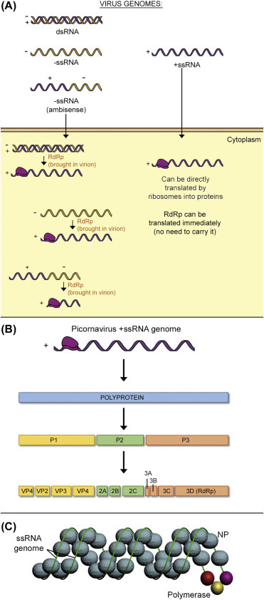 Figure 4.10