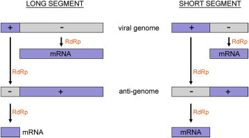 Figure 4.11