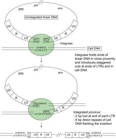 Figure 4.13