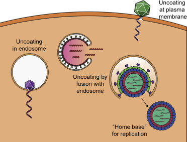 Figure 4.5