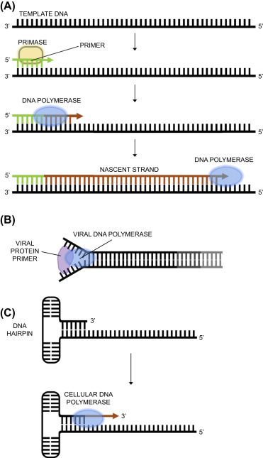 Figure 4.8