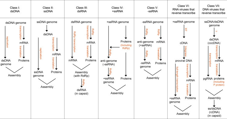 Figure 4.7