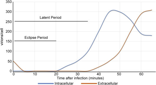 Figure 4.19