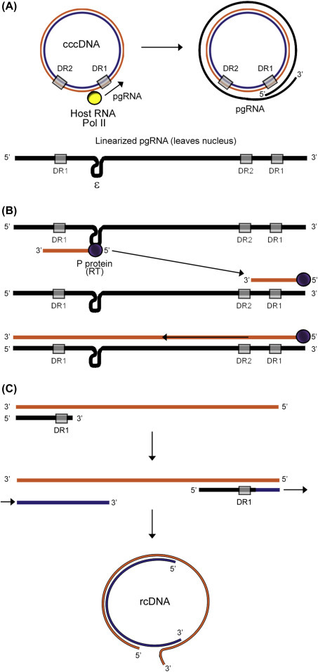 Figure 4.15