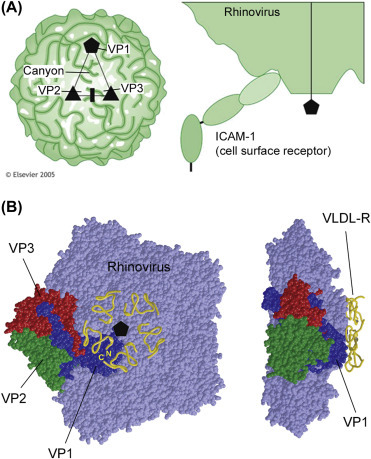 Figure 4.2