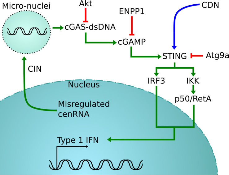 FIGURE 2