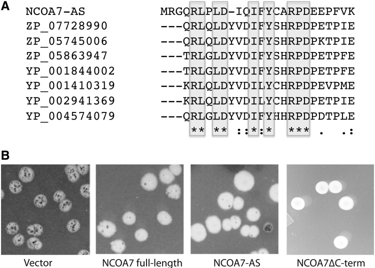 FIG. 6.