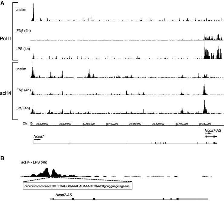 FIG. 8.