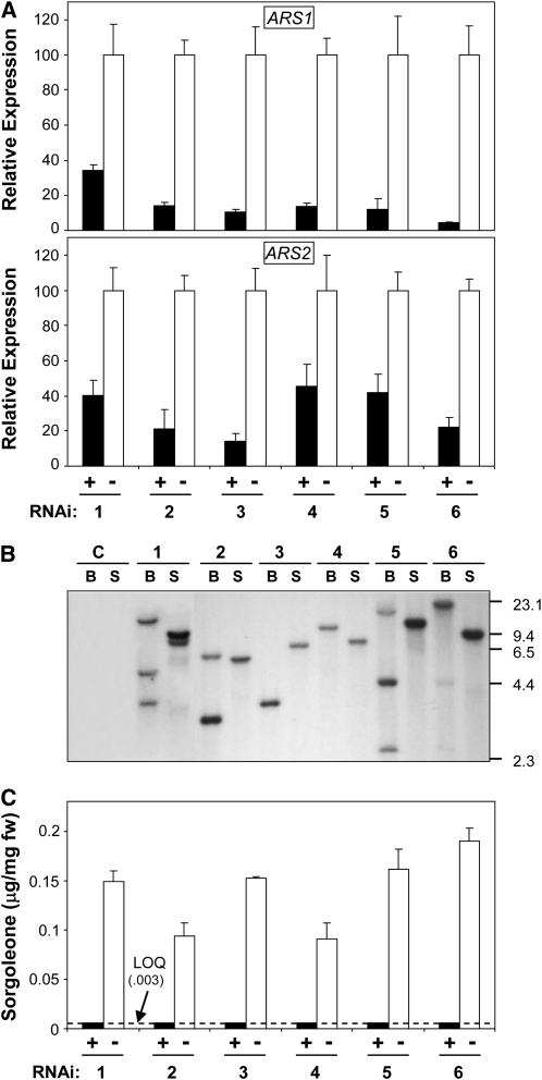 Figure 4.