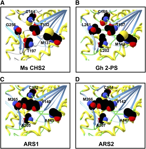 Figure 7.