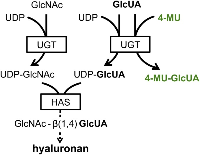 Fig. S1.