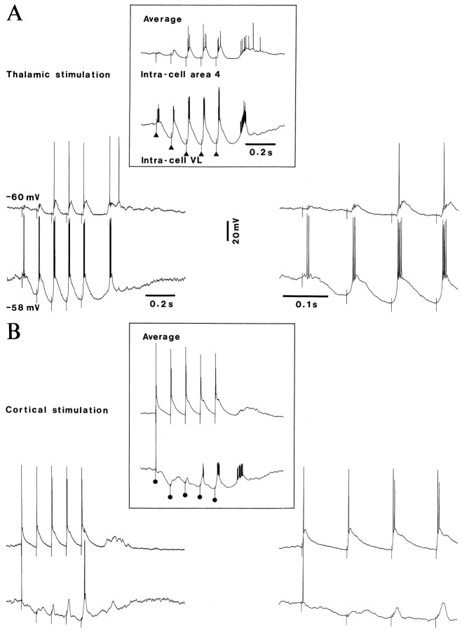 Fig. 9.