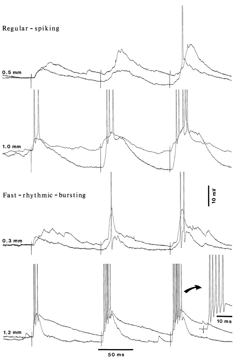 Fig. 13.