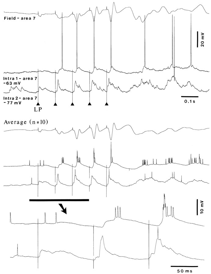 Fig. 11.