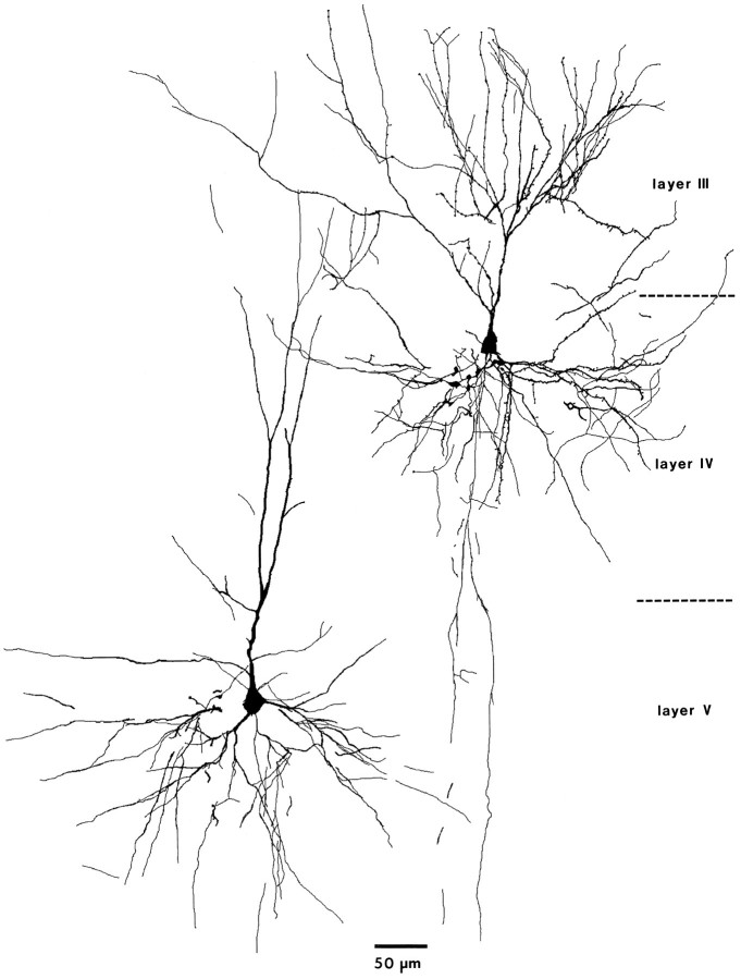 Fig. 12.