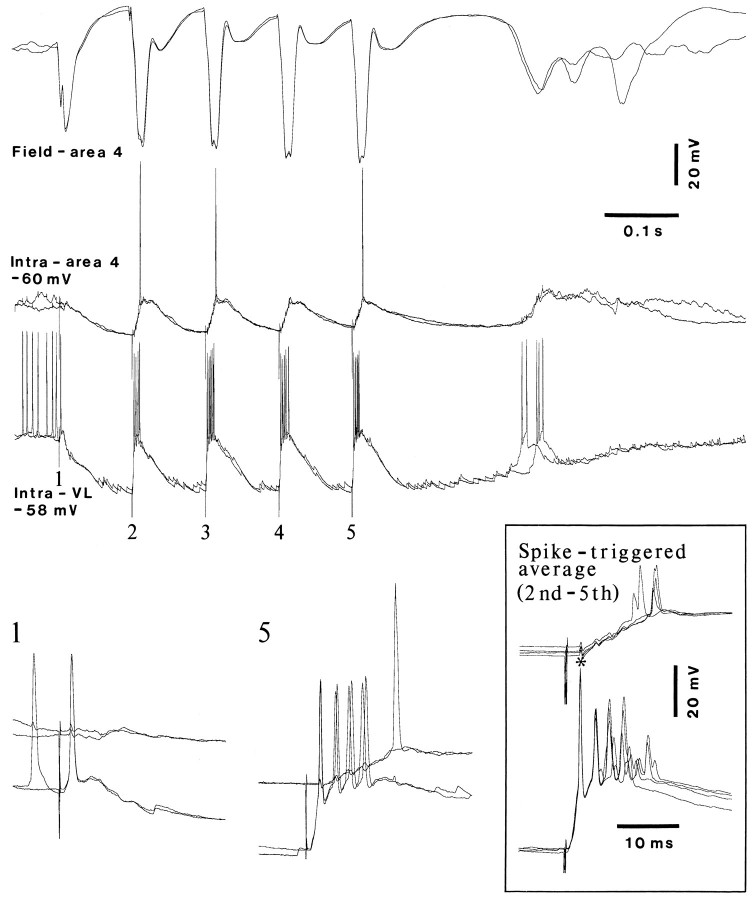 Fig. 5.