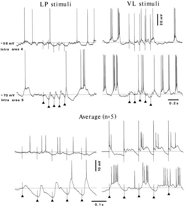 Fig. 10.