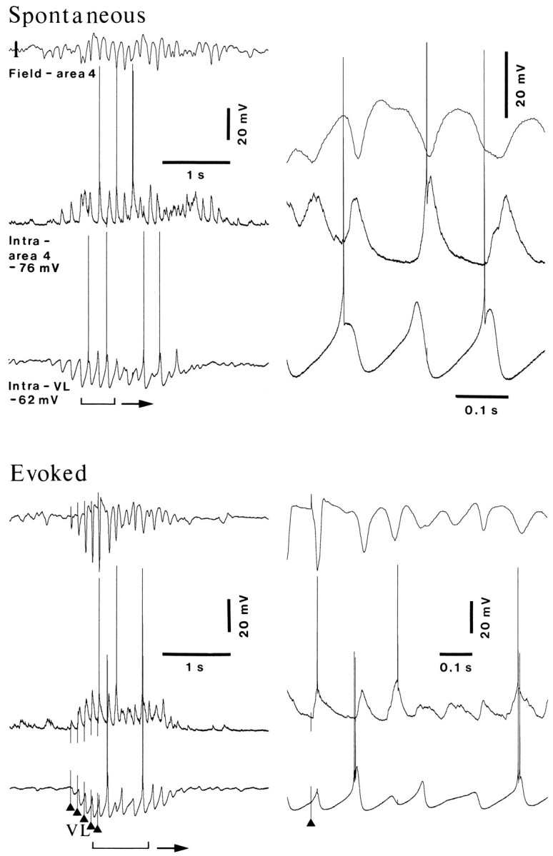 Fig. 8.