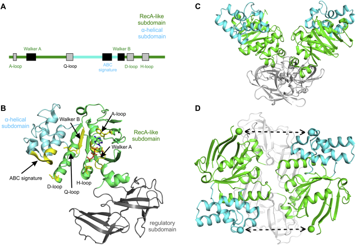 Fig. 4