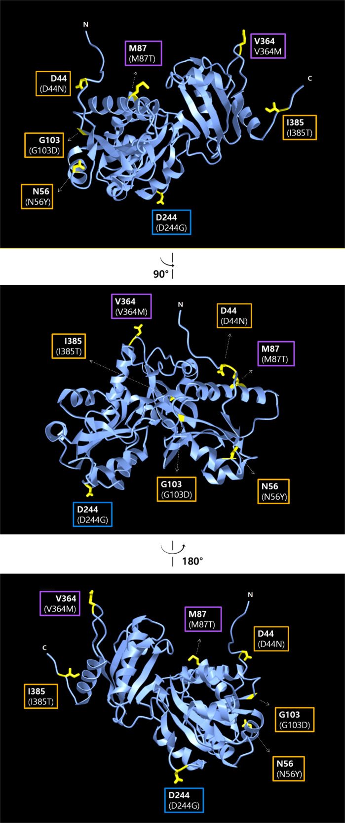 Fig. 3