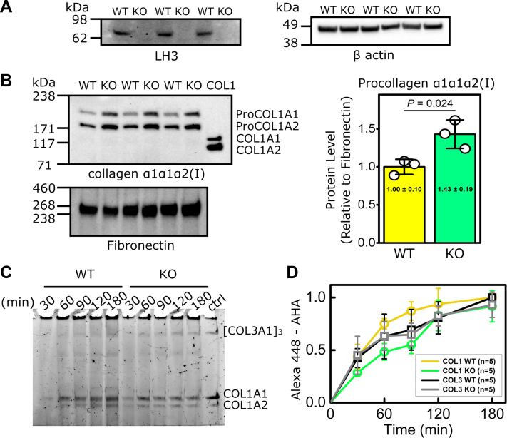 Figure 2