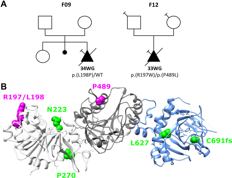 Figure 5