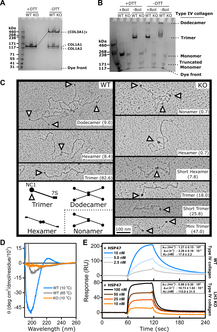 Figure 3