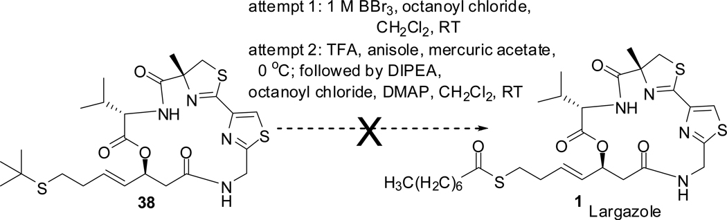 Scheme 8