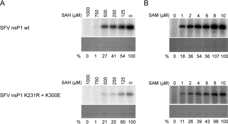 FIG 8