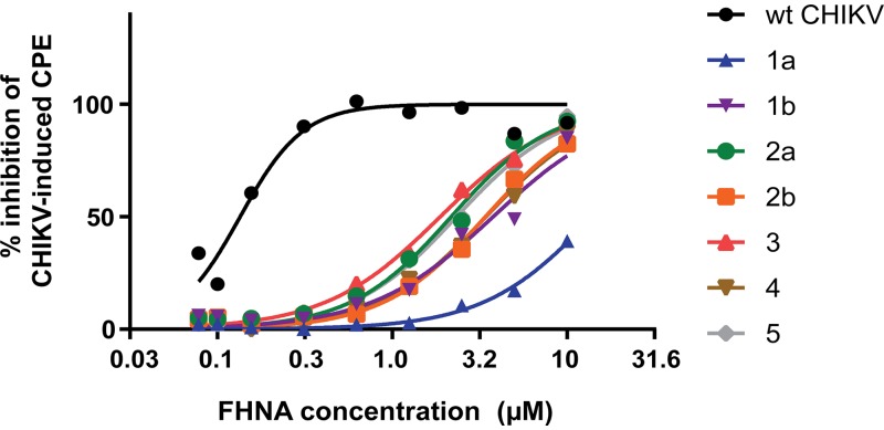 FIG 4