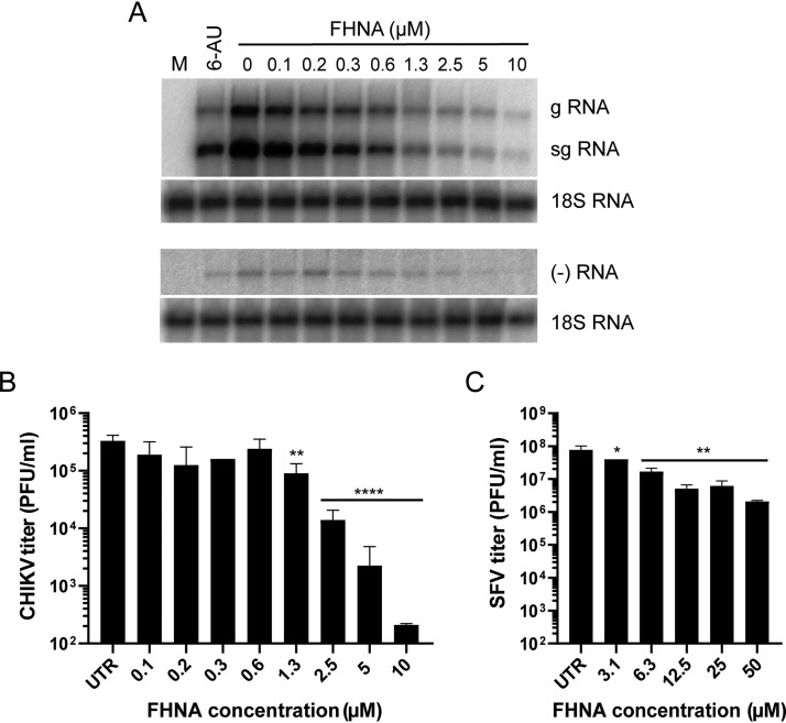 FIG 1