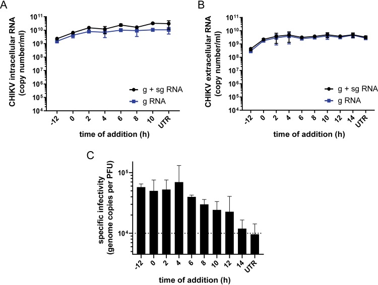 FIG 3