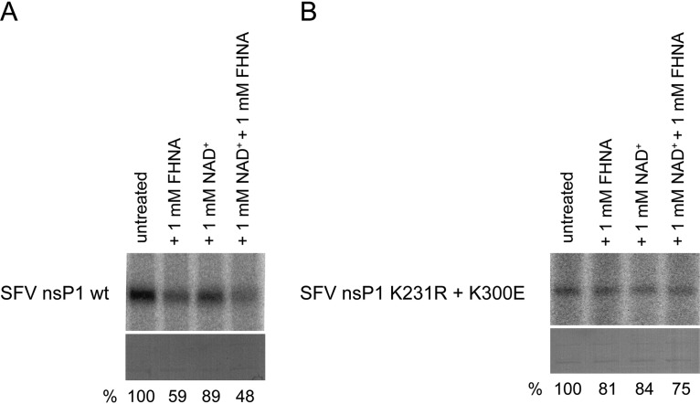 FIG 9