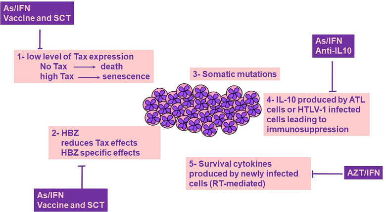 Figure 1