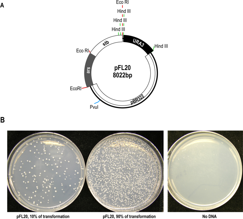 Figure 1.