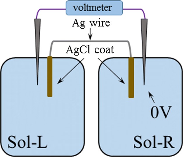 Fig. 6