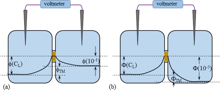 Fig. 11