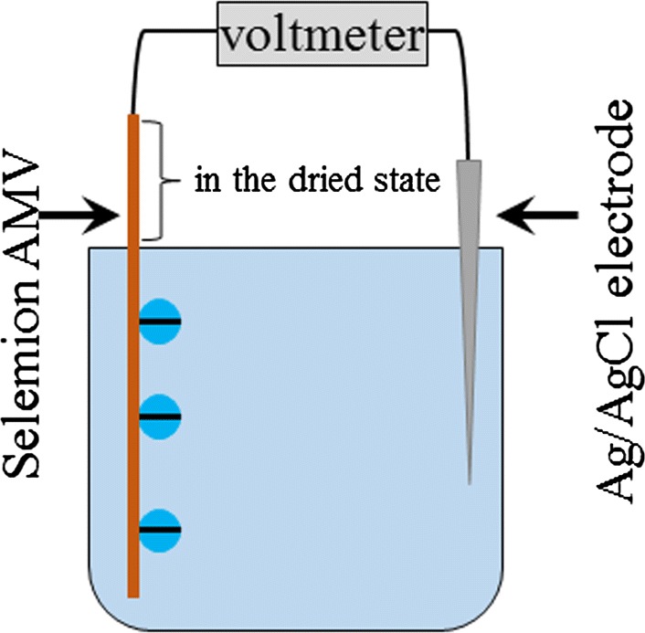 Fig. 10