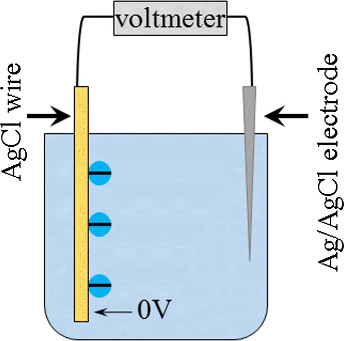 Fig. 8