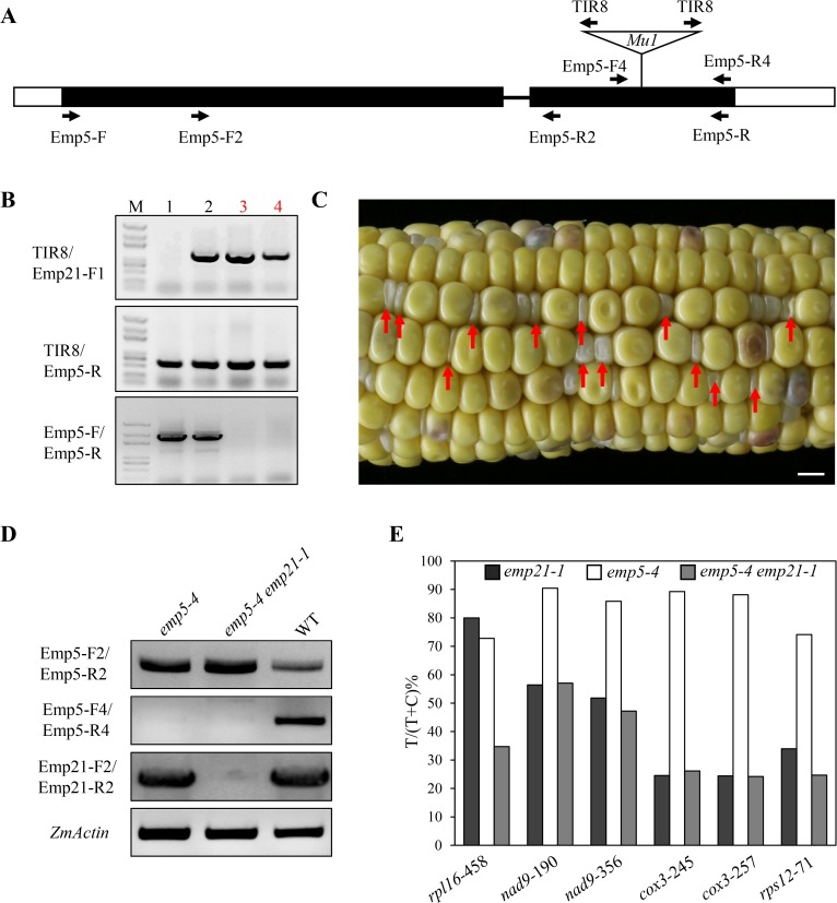 Fig 9