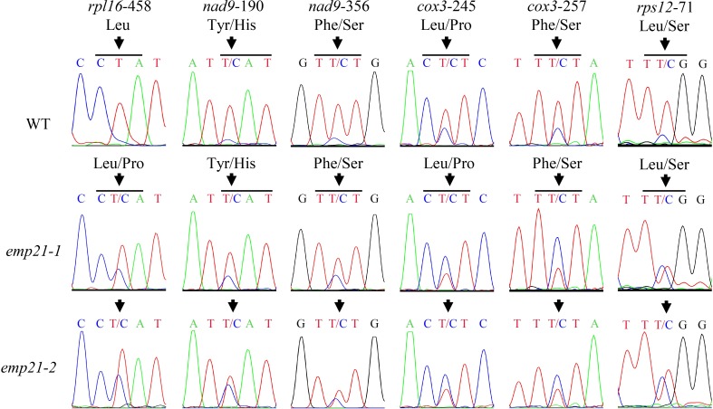 Fig 8