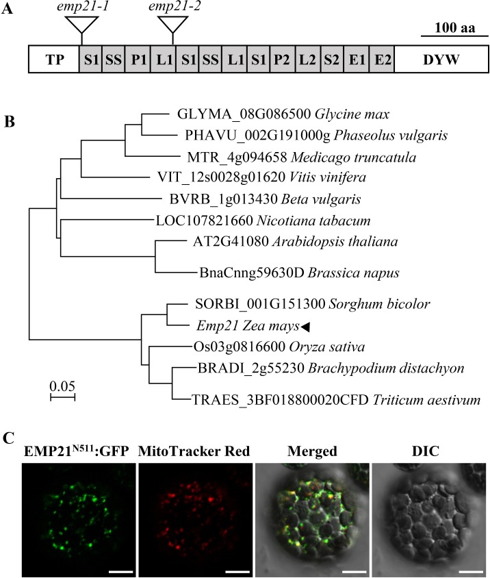 Fig 4