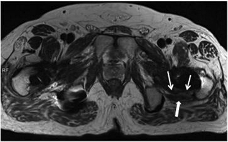 Fig. 7